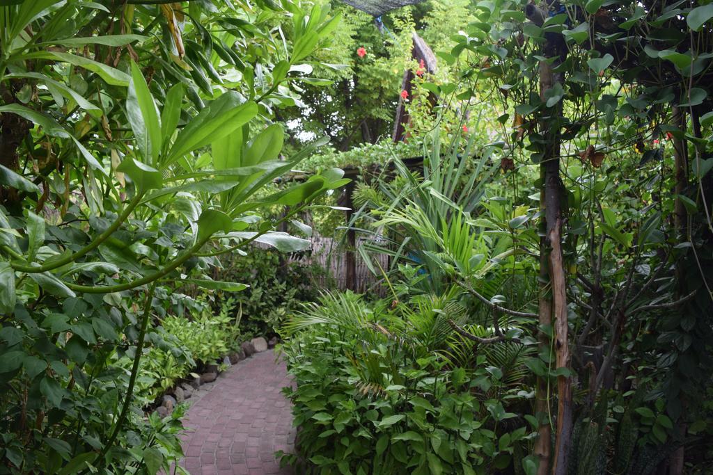 Ana Warung & Bungalows Gili Meno Exteriör bild